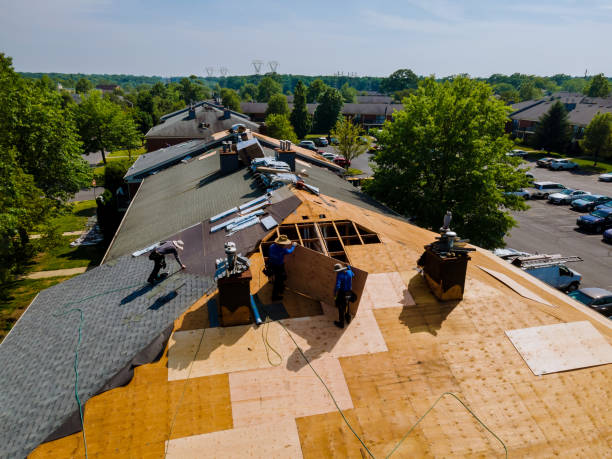 Trusted Roof Replacement service in Glen, WV - Brentwood Metal Roofing